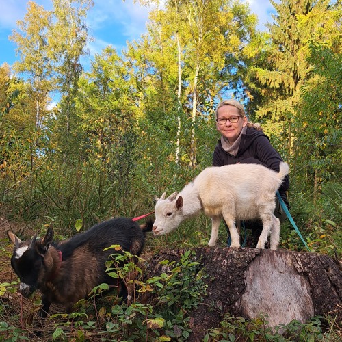 Die Zwergziegen Nova und Picco besuchen „ Brasilien“ …